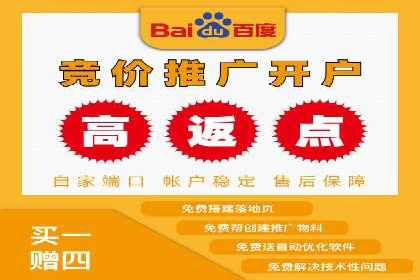 实战经验：竞价推广公司成功案例解析